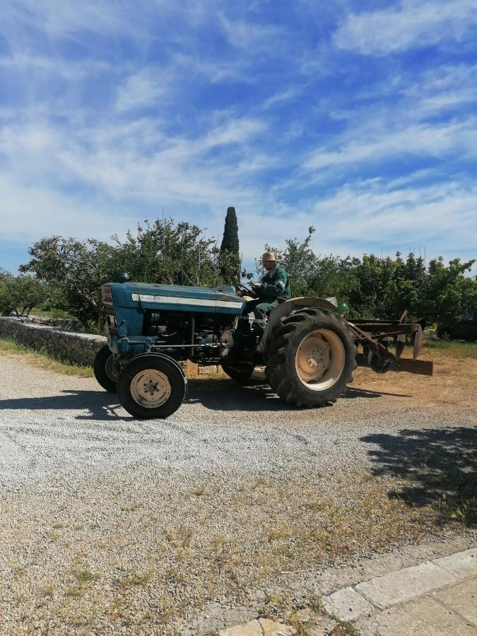 Masseria Agriturismo Il Sorriso Degli Ulivi - Dimora Di Charme Gallipoli Kültér fotó
