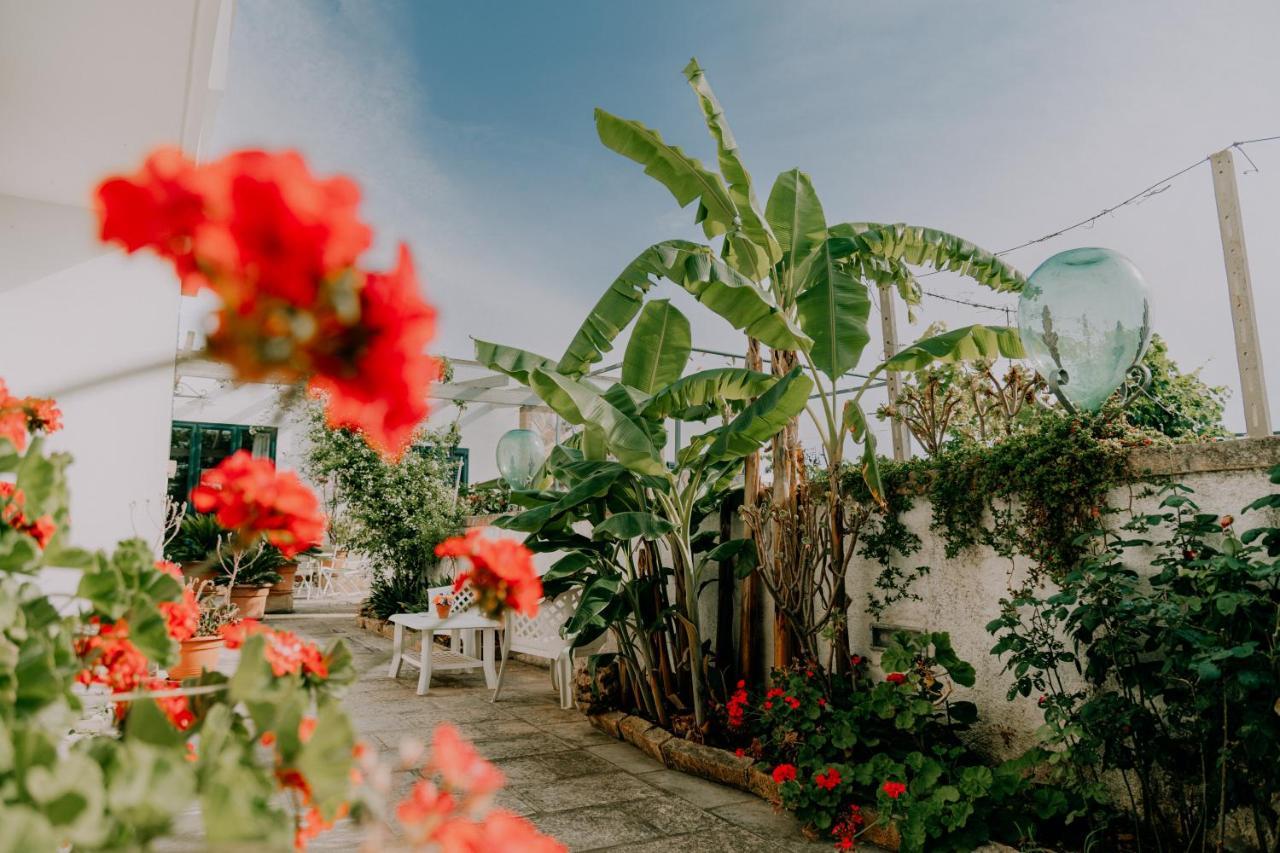 Masseria Agriturismo Il Sorriso Degli Ulivi - Dimora Di Charme Gallipoli Kültér fotó