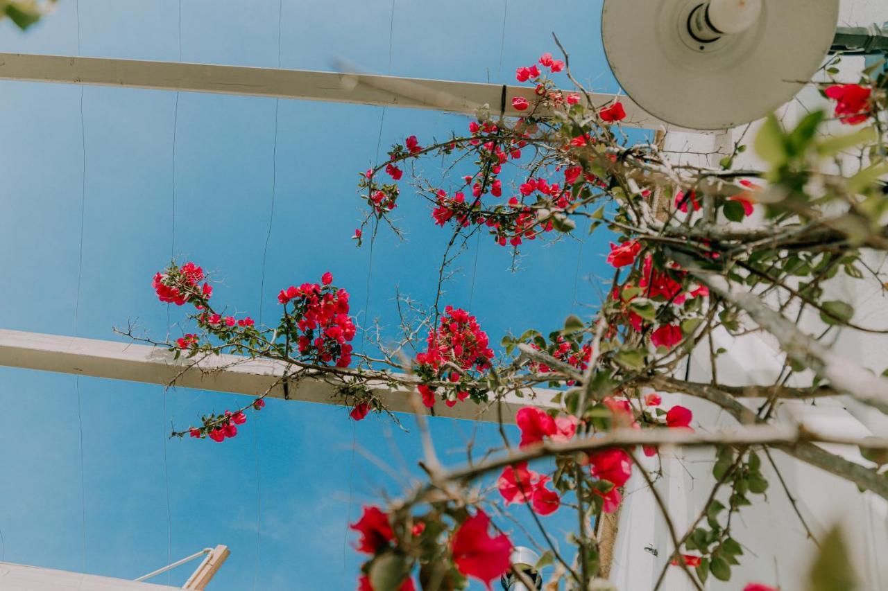 Masseria Agriturismo Il Sorriso Degli Ulivi - Dimora Di Charme Gallipoli Kültér fotó