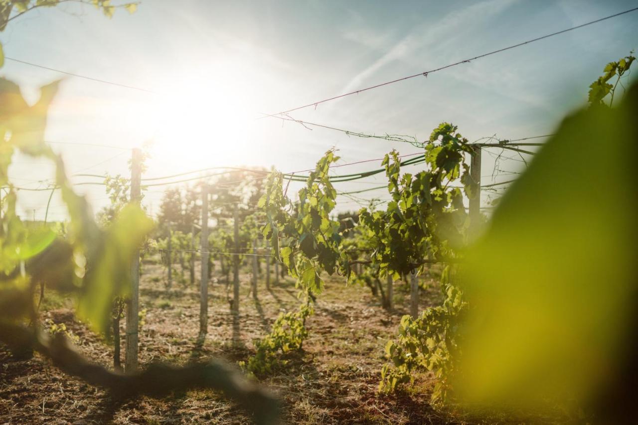 Masseria Agriturismo Il Sorriso Degli Ulivi - Dimora Di Charme Gallipoli Kültér fotó