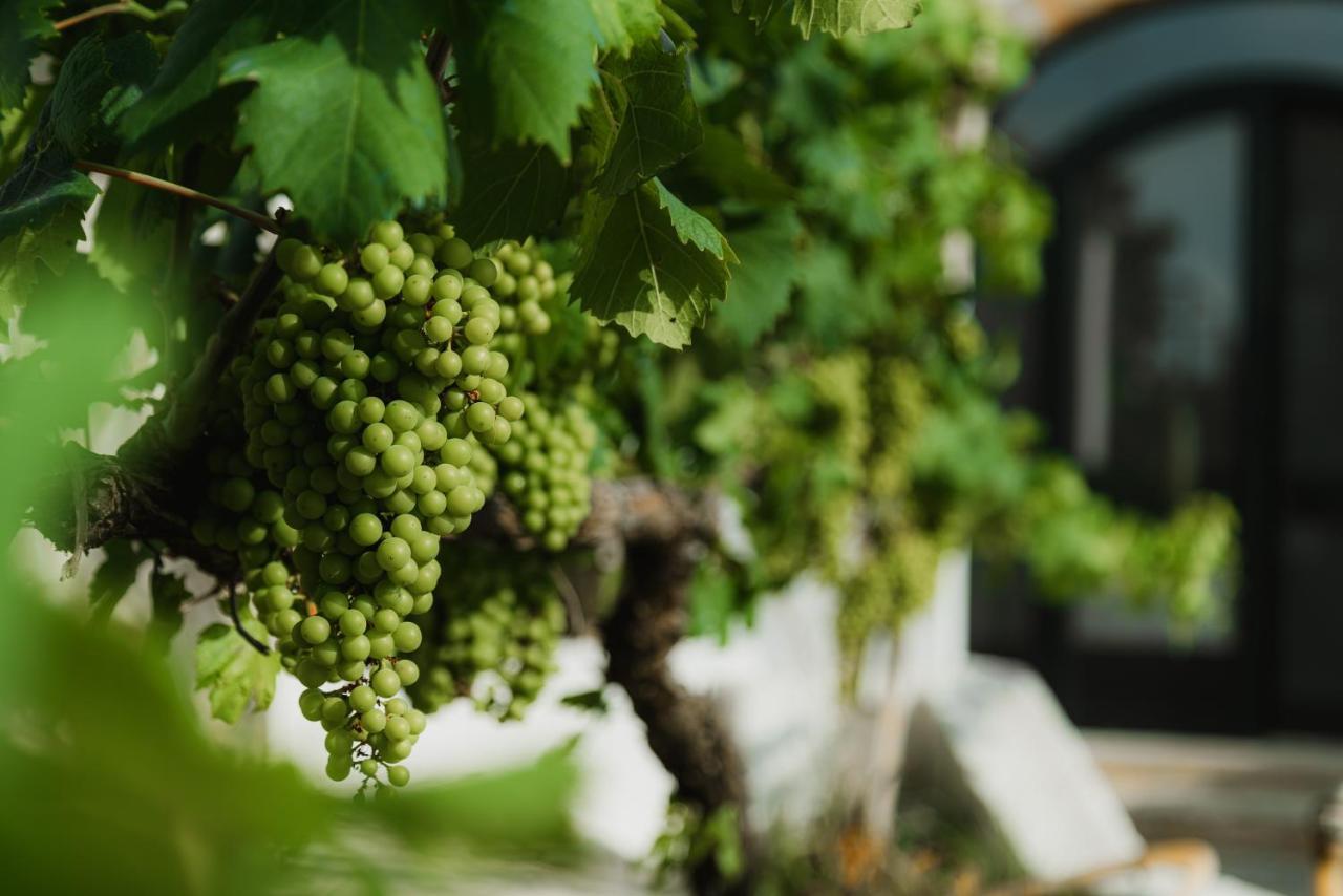 Masseria Agriturismo Il Sorriso Degli Ulivi - Dimora Di Charme Gallipoli Kültér fotó